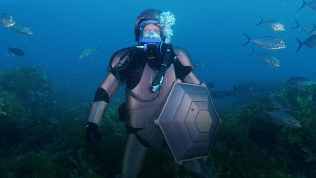 Andrew Mayne in shark gear